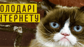 Володарі Інтернету. Десять найвідоміших котів світу