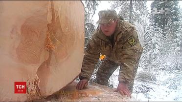 На Прикарпатті обрали головну новорічну ялинку країни