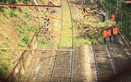 У Франції потяг зіштовхнувся із деревом: десятки постраждалих