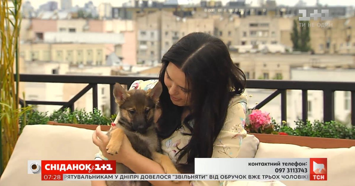 Двое щенков-девочек ищут заботливых хозяев