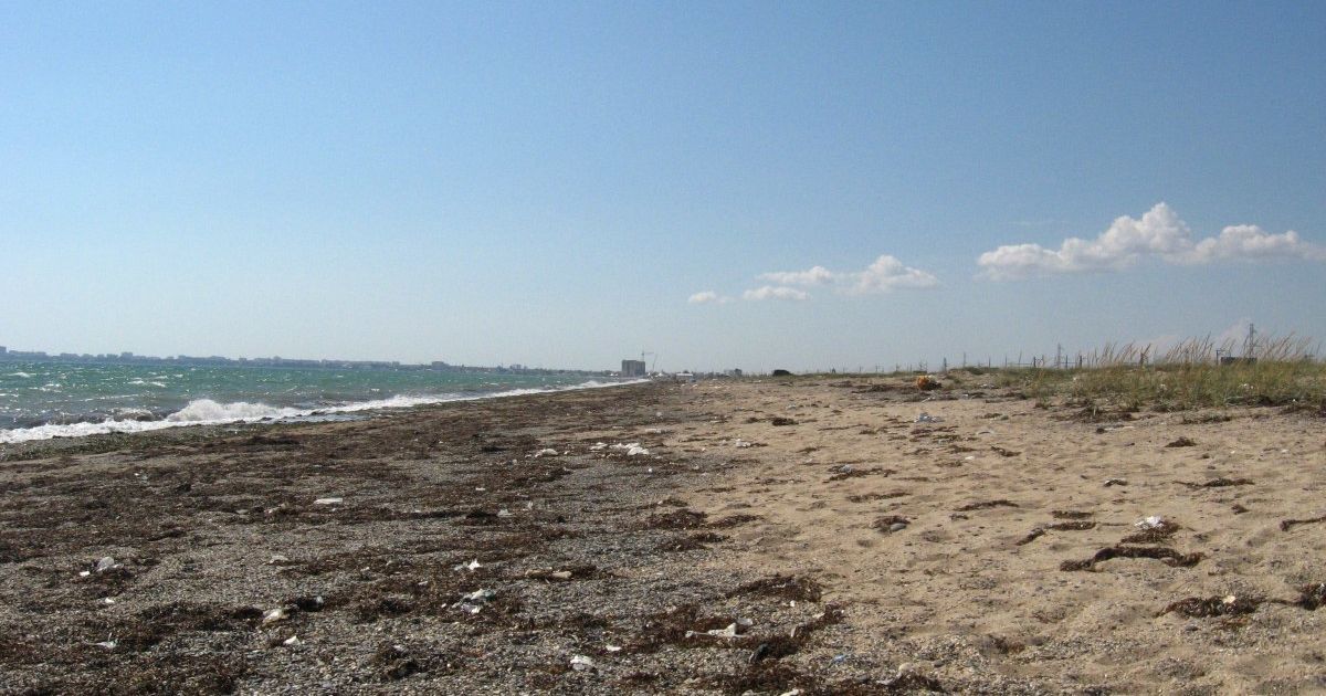 В реке Стыр в Луцке значительно упал уровень воды: депутаты бьют тревогу