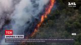 Новини світу: Америка у вогні – в Перу лісові пожежі впритул наблизилися до давньої столиці інків