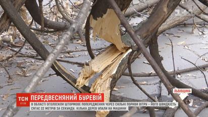 Предвесняний буревій: на Львівщині оголосили штормове попередження