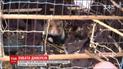 Польовий хом'як залишив без телефонного зв'язку три села на Житомирщині