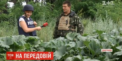 "Витамины и маскировка": военные поставили овощи на службу армии в ООС
