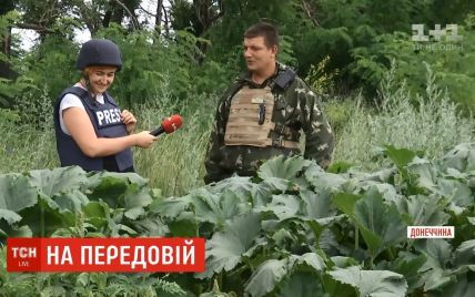 "Витамины и маскировка": военные поставили овощи на службу армии в ООС