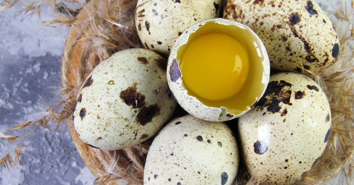 В чому користь перепелиних яєць