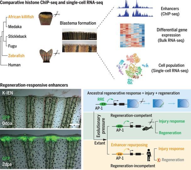  / © sciencenews.org