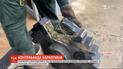 В аеропорту на півночі Колумбії прикордонники виявили коноплю в металевій шестерні