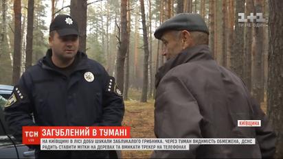 В лесу в Киевской области сутки искали заблудившегося 67-летнего грибника