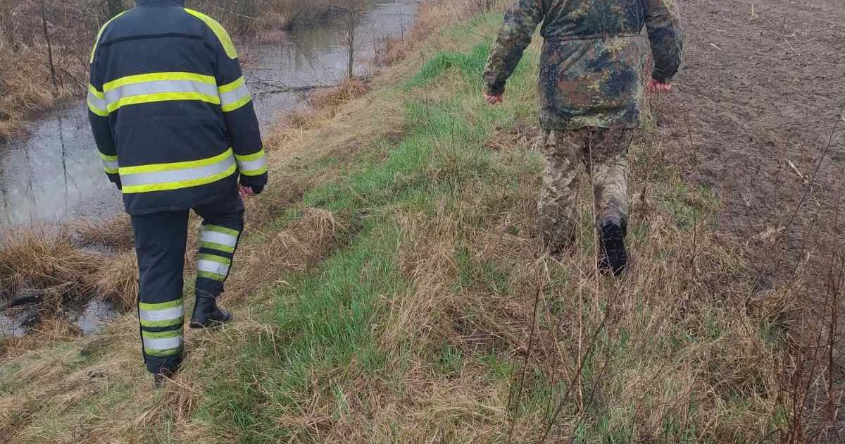 Пошуки Богдана Уніченка