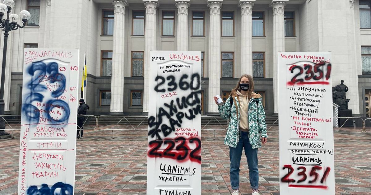 Установили и расписали двери: зоозащитники провели под Радой перфоманс в поддержку животных