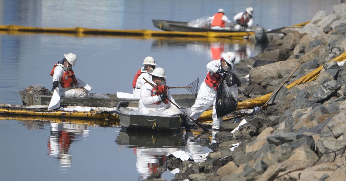 Масштабный разлив нефти в Калифорнии привел к закрытию пляжей и гибели животных: что известно