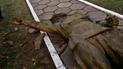 Фото: Олександр Назарець/Facebook