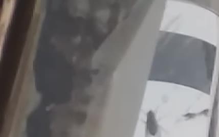 У Києві всередині нового пішохідного моста завелись мухи
