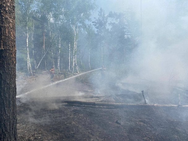 Російські дрони знову спричинили пожежі у Чорнобильській зоні Фото ДАЗВ