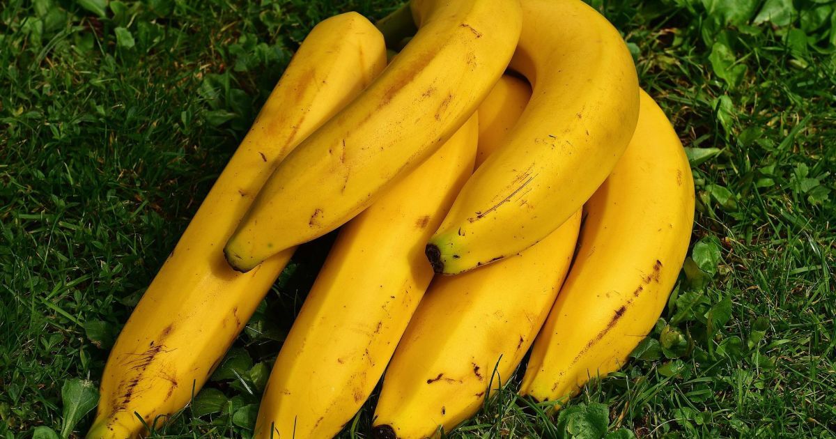 Що потрібно знати про банани які бувають чому корисні як вибирати та зберігати