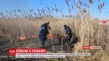 Пожарные до сих пор борются с огнем в Днепровских плавнях