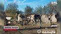 "Искандерами" по жилому дому: россияне всадили по Курахово в Донецкой области