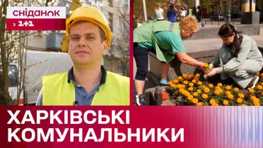 Несокрушимые коммунальщики Харькова: как рабочие поддерживают чистоту в городе несмотря на обстрелы