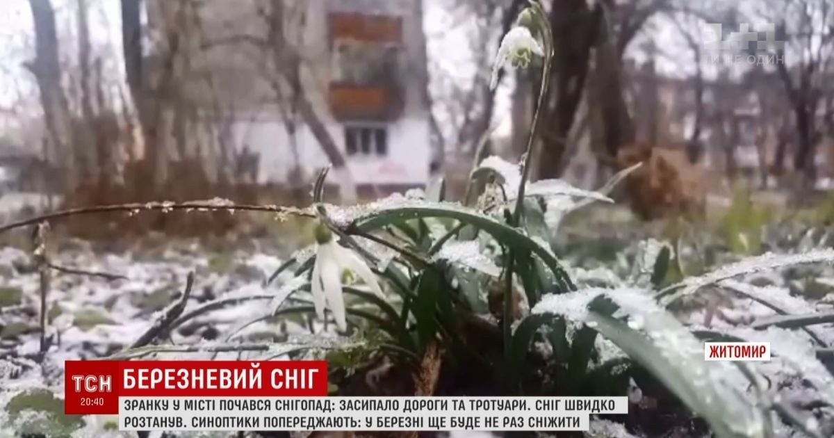 Прощальний поцілунок зими: Житомир засипало лапатим снігом