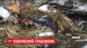 На Львівщині з перестрілкою правоохоронці затримали небезпечного злодія