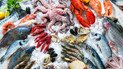 Топ-5 салатов из рыбы и морепродуктов
