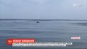 Дельфины сопровождают работников нацпарка в море Херсонской области