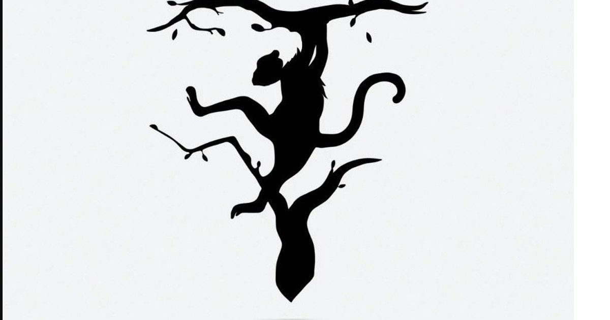 Що ви побачили першим