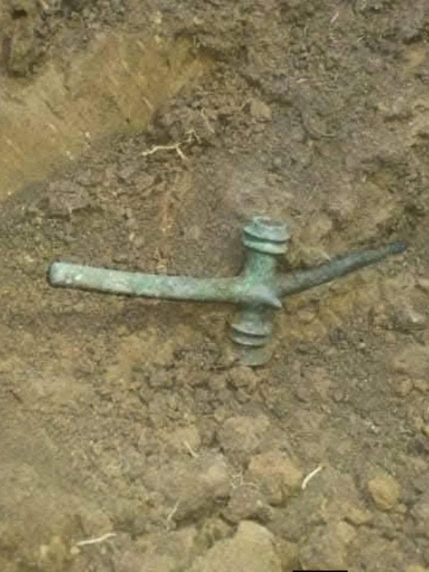 У Чехії виявили один із найбільших скарбів епохи бронзи за останні десятиліття. Фото: Historstore / © соцмережі