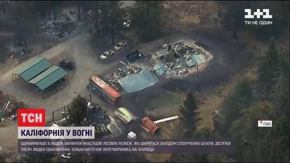 Дим видно з космосу: через пожежі якість повітря у США називають найгіршою в світі