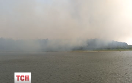 Киевщина в огне: лесные пожары перекинулись на Вышгородский район