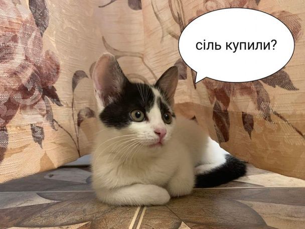 Фото з відкритих джерел