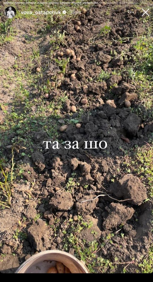 Владимир Остапчук копает картошку / © instagram.com/vova_ostapchuk