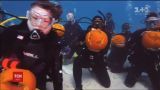 Хэллоуин по-новому. Во Флориде устроили соревнования по вырезанию праздничной тыквы под водой