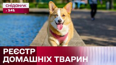 В Україні створять Єдиний реєстр домашніх тварин