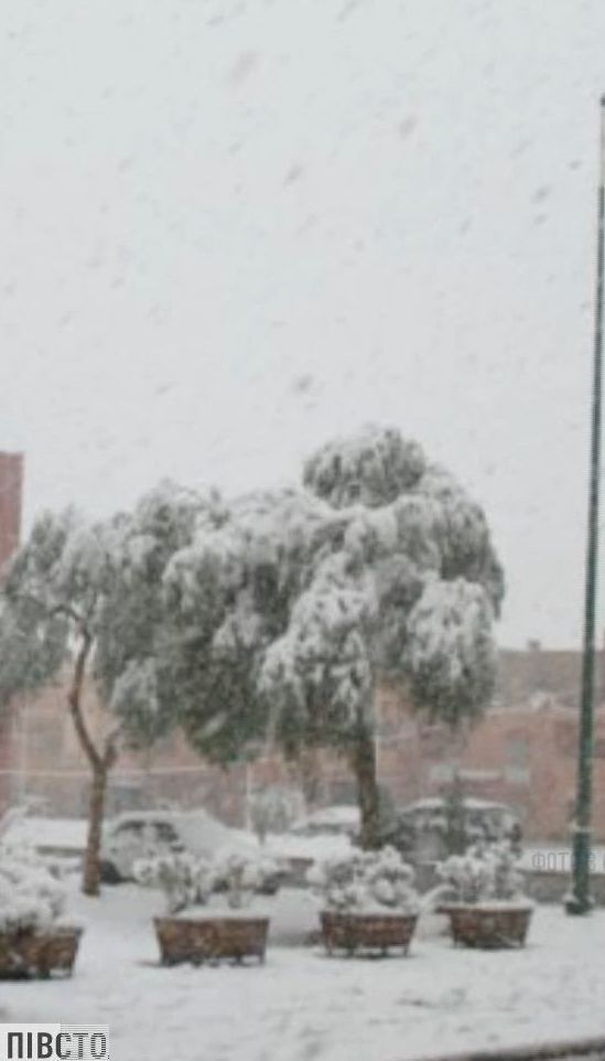 В Марокко впервые за полвека выпал снег