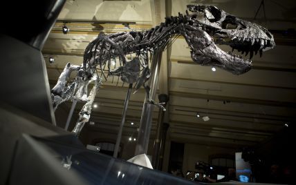 Динозавры вернутся в 2050 году - ученые