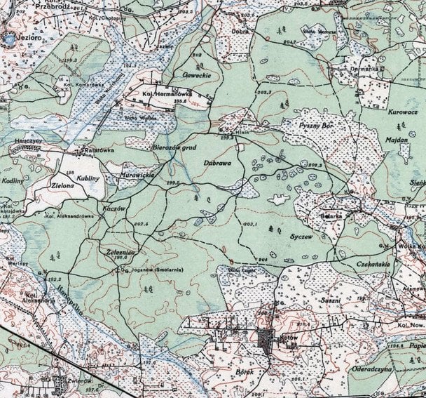 Територія заказника «Зубр» на топографічній мапі 1926 року / © соцмережі