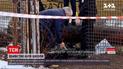 В Днепре задержаны подозреваемые в убийстве двух бездомных | Новости Украины