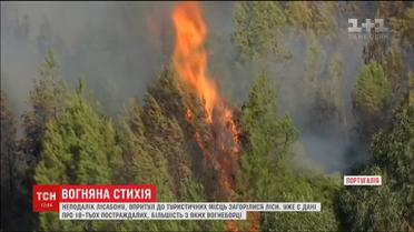 Неподалеку Лиссабона загорелись леса