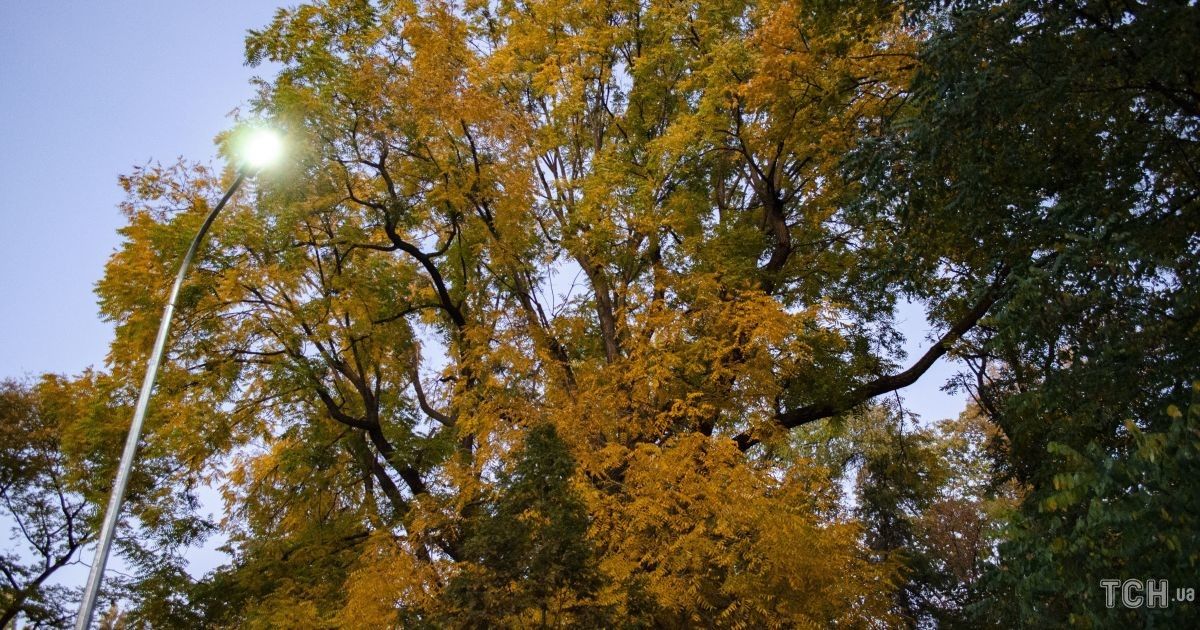 Погода на среду: в Украине местами будет туман и тепло