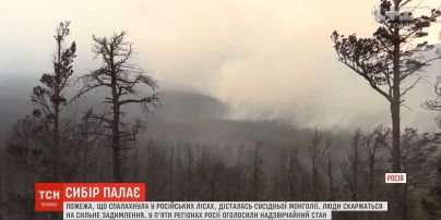 Дым с горящих лесов Сибири достиг Монголии