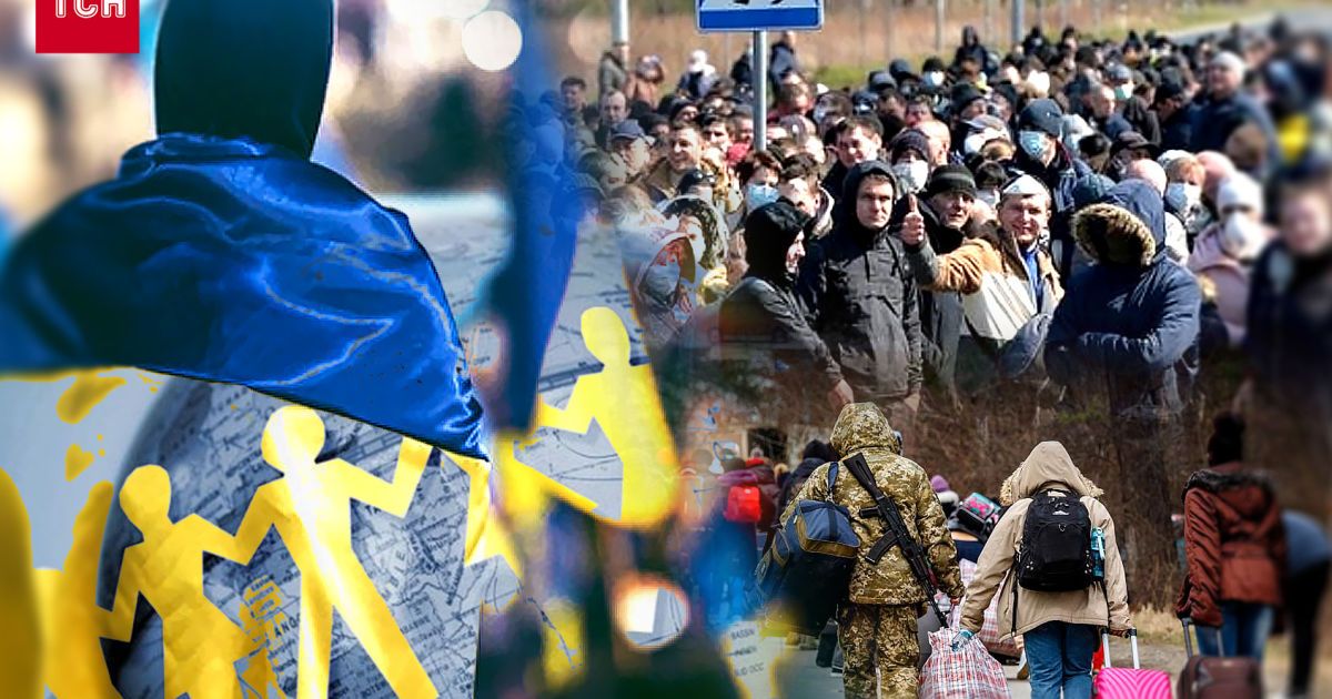 Коллаж ТСН.ua