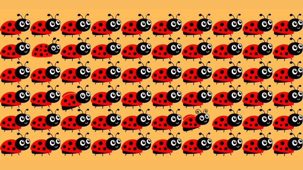 Тест із сонечками Фото з відкритих джерел