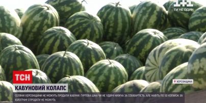 Новости Украины: в Херсонской области селяне не могут продать бахчевые - рынок перенасыщен