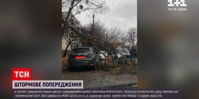 Штормовое предупреждение: какой беды наделали порывы ветра в Украине