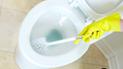 Як відчистити унітаз без хімії