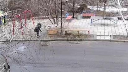 Отравила и глазом не мигнула: в Славянске женщина лишила жизни бездомного собаку