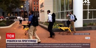 Новости мира: в США на прогулку вывели робопсов